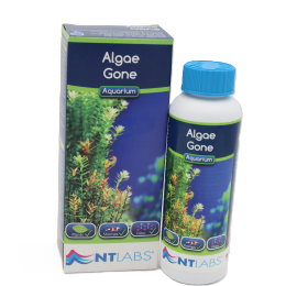nt labs algae gone 100 ml