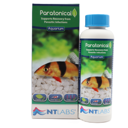 nt labs paratonical 100 ml