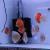 8cm Discus